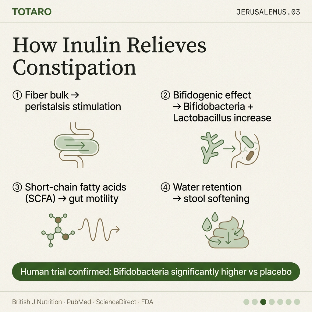 Constipation mechanism