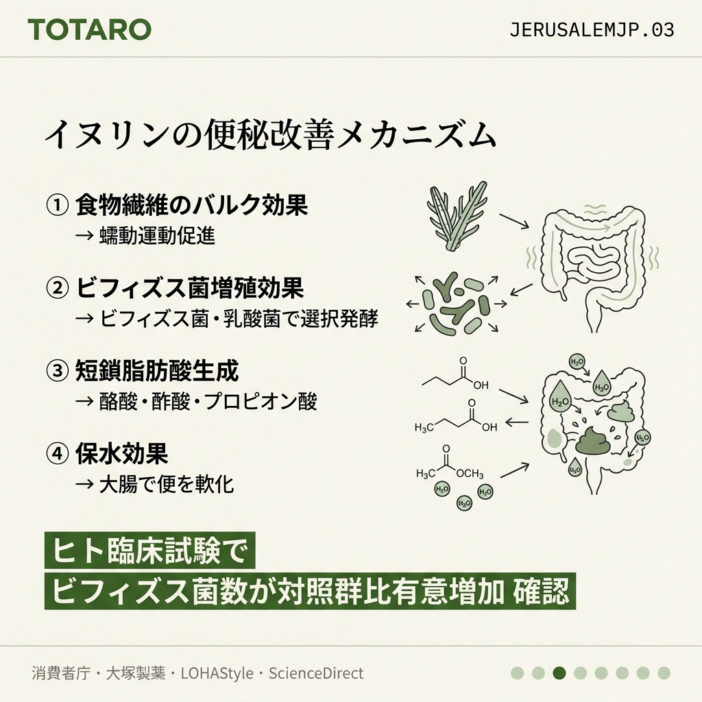 便秘改善メカニズム